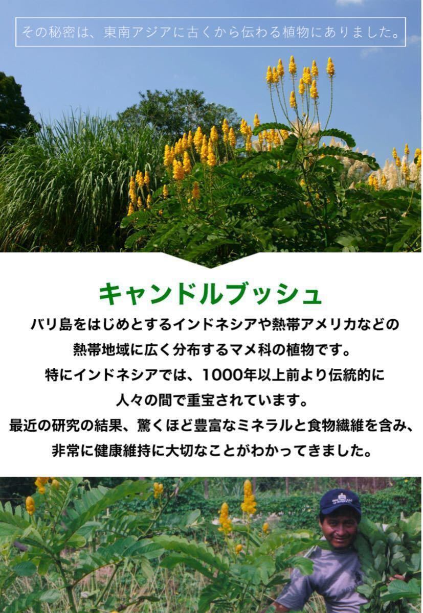 Paypayフリマ 国内製造のベンマックス240粒 新品未開封 賞味期限22年12月で新鮮です 高機能歯磨き粉のおまけ付 Paypayフリマ 国内製造のベンマックス240粒 新品未開封 賞味期限22年12月で新鮮です 高機能歯磨き粉のおまけ付