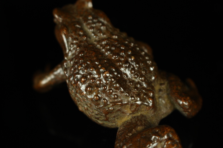 最上 初出し 極上 在銘 品 蛙 カエル かえる 2組 金工細工 古銅製 置物 
