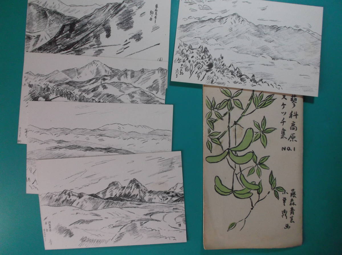 お選び下さい(②～⑥組の内)昔の絵葉書袋付②大原魚山来迎院6枚③尾鷲市6枚④京都宇治黄檗山6枚⑤蓼科高原5枚⑥高山植物7枚_⑤組