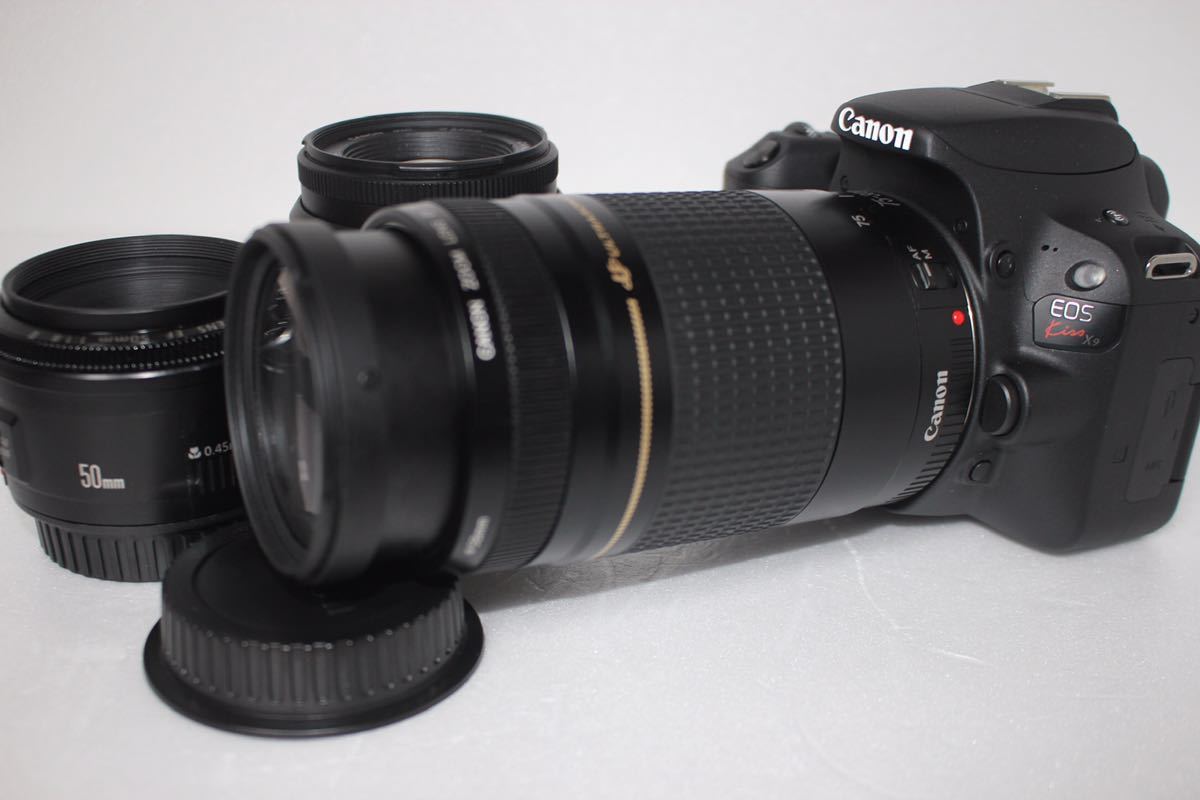 使い勝手の良い】 Canon キャノン II F4-5.6 75-300mm EF-S EF35-70