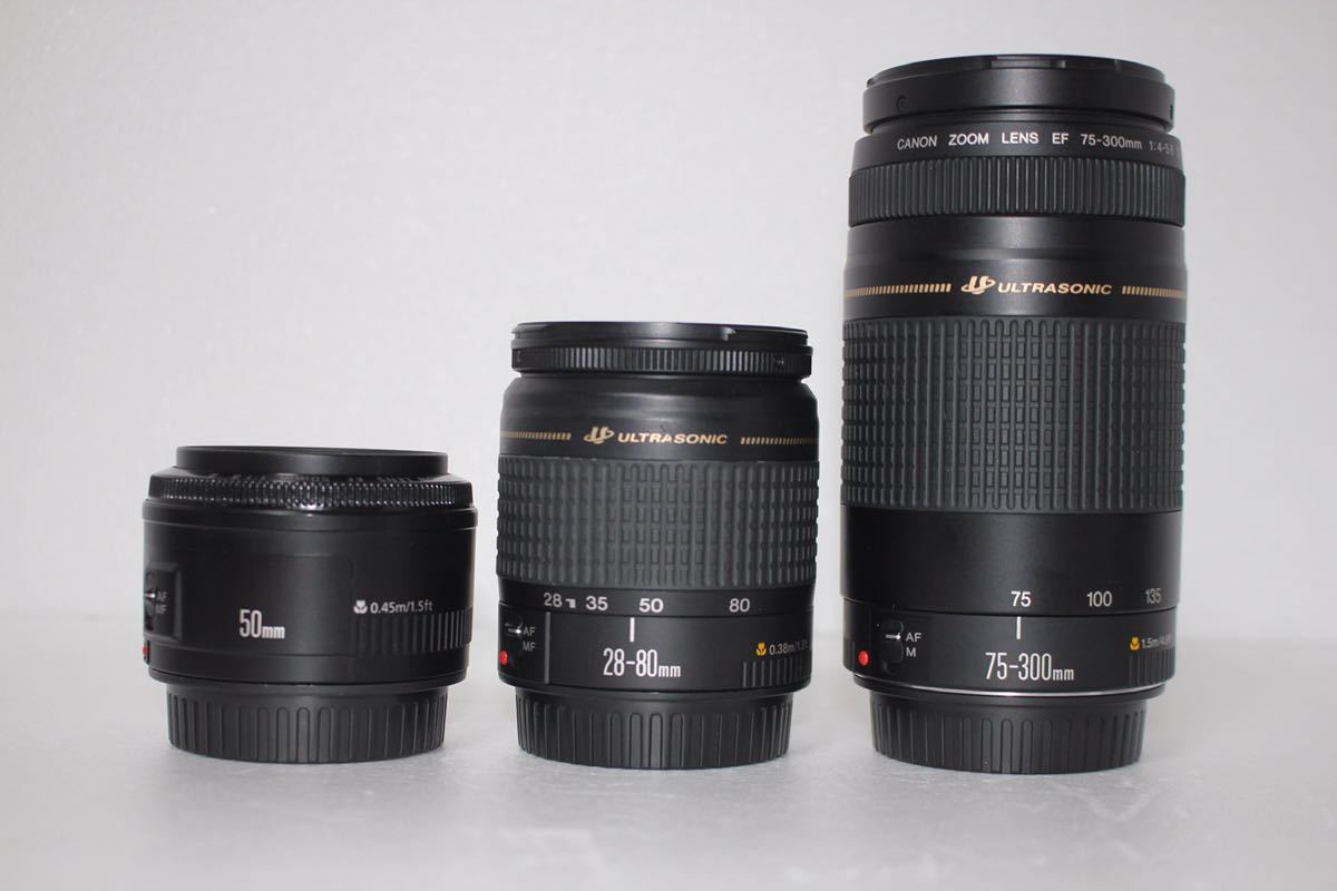 キャノン Canon デジタル一眼レフカメラ EOS 9000D ボディ 2420万画素 DIGIC7搭載 Canon EF 50mm F1.8 II EF 28-80mm EF 75-300mm_画像7