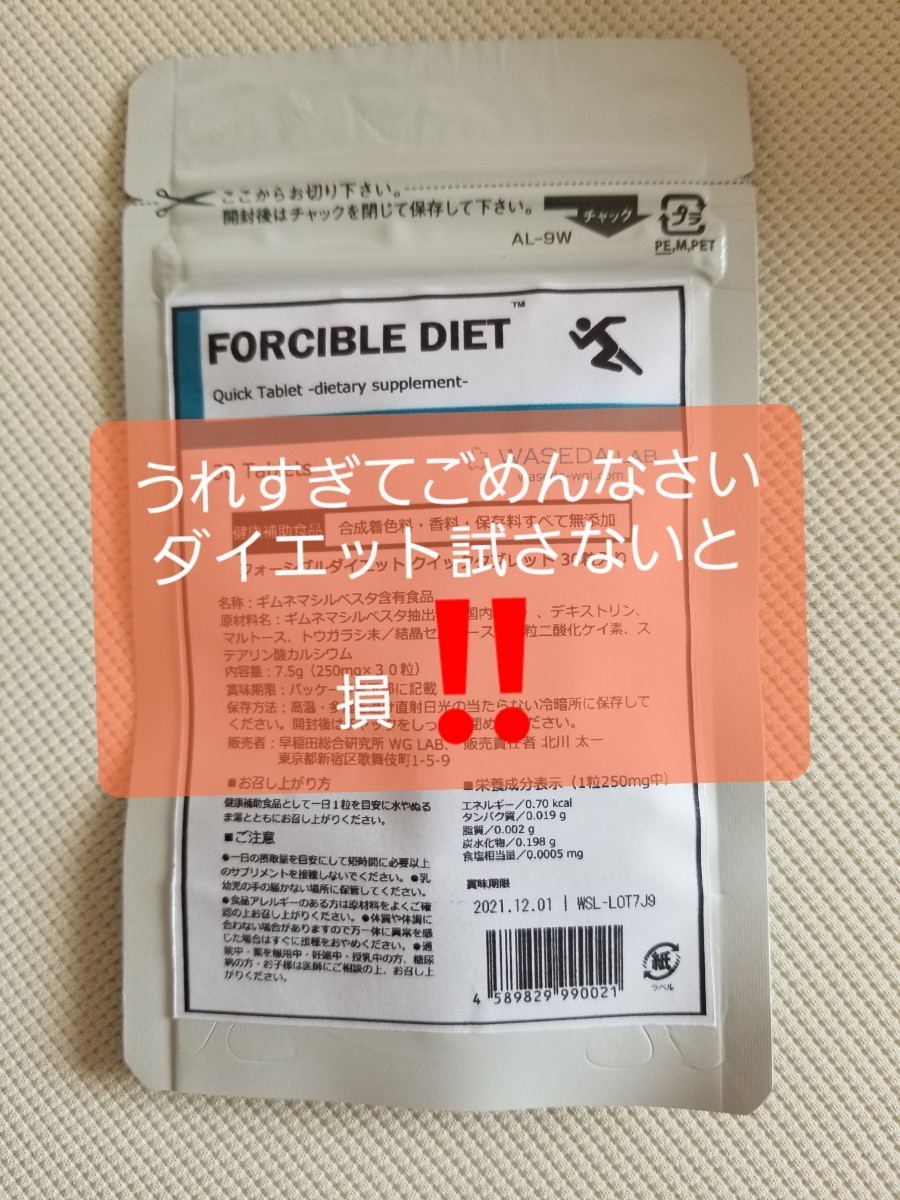 最安値処分価格❗送料込み300円❕ミッフィーエコバッグ