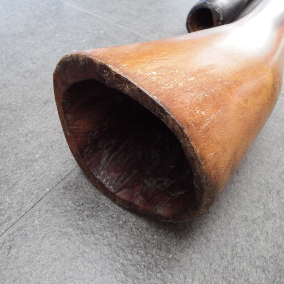 ディジュリドゥ ベルボトム オーストラリア アボリジニ 民族 楽器 イダキ マゴ 金管楽器 木管楽器_画像7