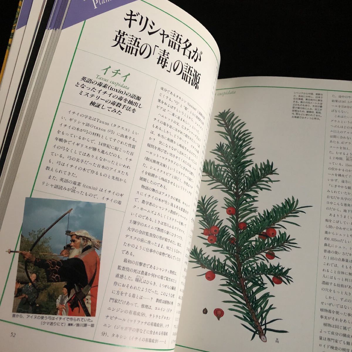 Paypayフリマ 毒草の誘惑 初版 帯付 絶版 Paypayフリマ 毒草の誘惑 初版 帯付 絶版