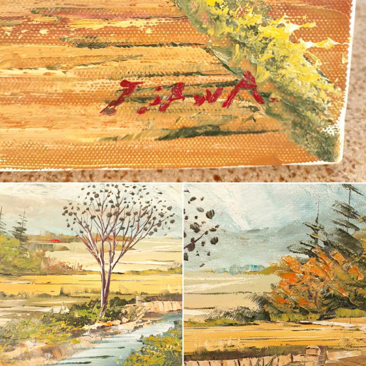 沢健 真筆証明書 信州 油絵 F6 林風会 風景画 額装 絵画 (210113