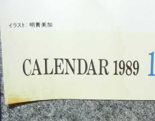 ◆ポスター◆鎧伝サムライトルーパー／1989年カレンダー／４_画像2