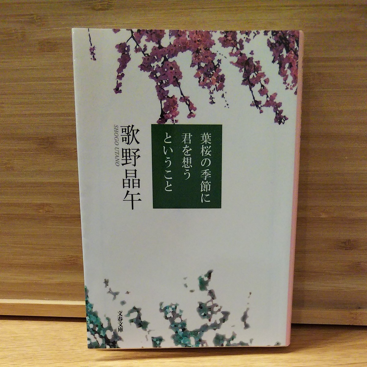 小説 文庫本 葉桜の季節に君を想うということ 歌野晶午