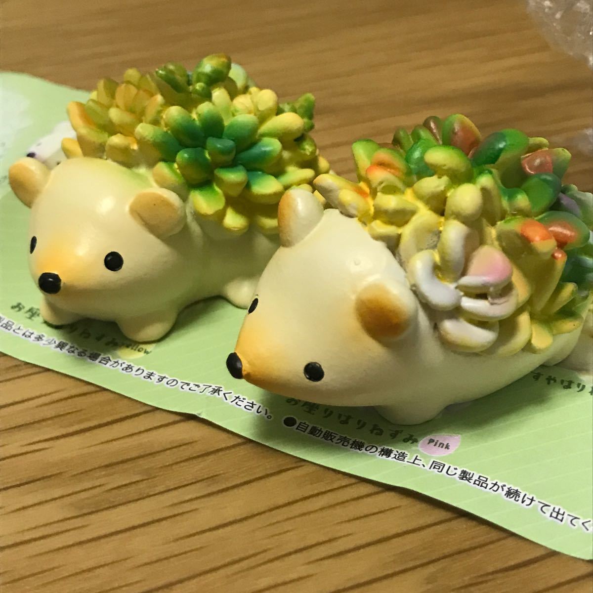 Paypayフリマ ボタニカルはりねずみ セット ガチャガチャ ガチャポン ミニチュア 人形 動物 Paypayフリマ ボタニカルはりねずみ セット ガチャガチャ ガチャポン ミニチュア 人形 動物