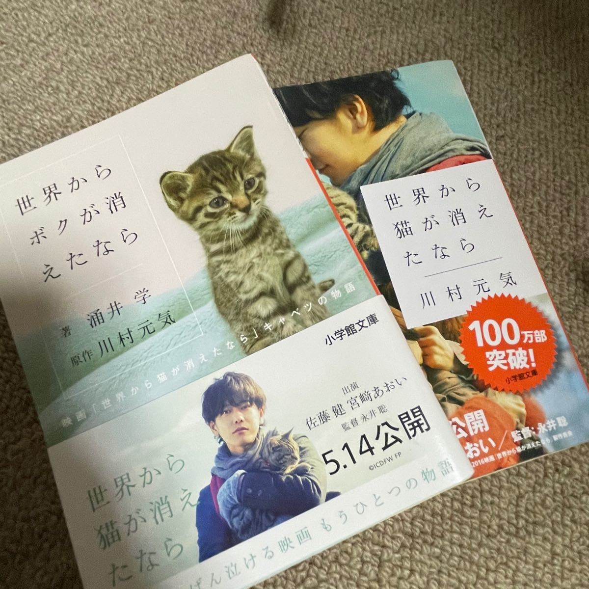 Paypayフリマ 世界からボクが消えたなら 世界から猫が消えたなら 川村元気 小説 Paypayフリマ 世界からボクが消えたなら 世界から猫が消えたなら 川村元気 小説