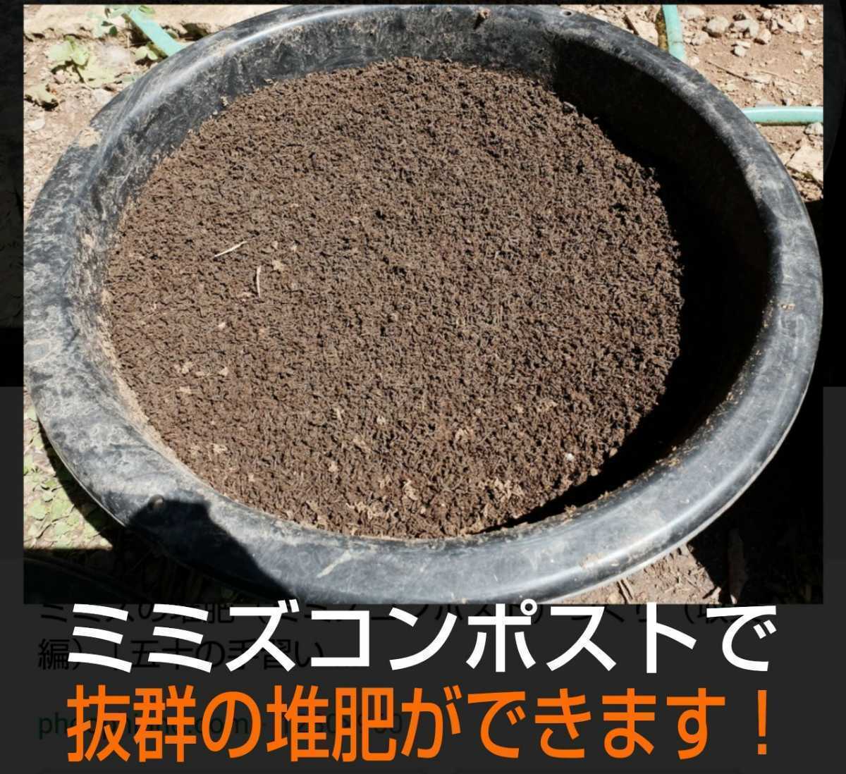 ヤフオク 家庭菜園の土壌改善に 新鮮 採れたて直送 シマミ ヤフオク 家庭菜園の土壌改善に 新鮮 採れたて直送 シマミ