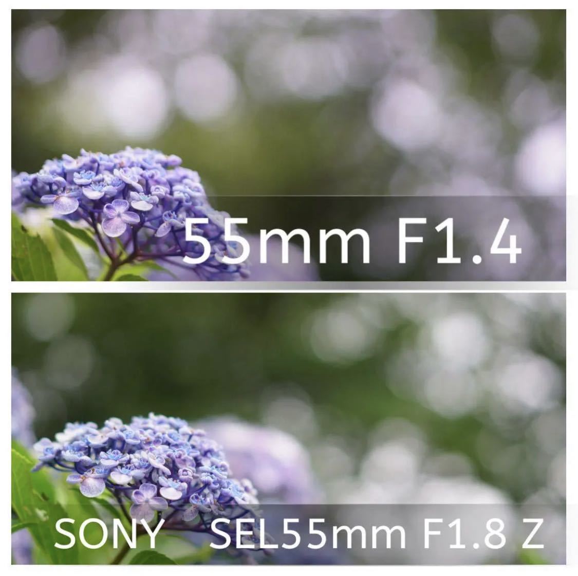 55mm F1.4 写真が上手くなるレンズ！単焦点レンズ SONYミラーレス対応！サードパーティ製！おすすめ！綺麗！思い出を残そう！サポート付き_画像3