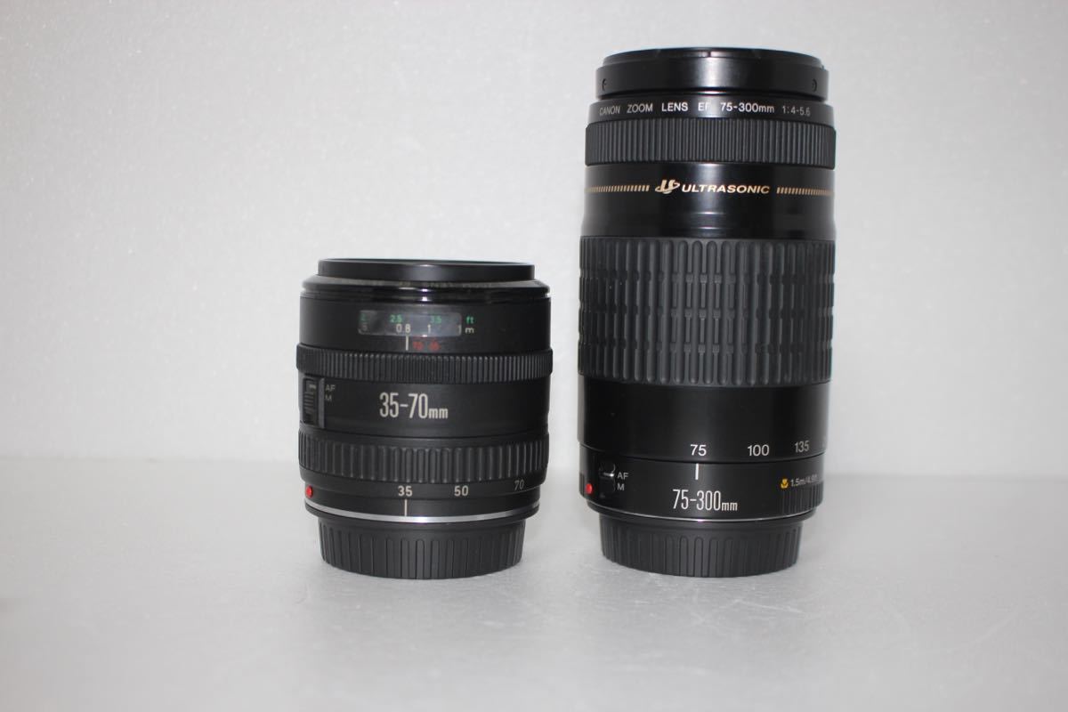 中古美品 Canon キヤノン EOS 80D レンズセット　Canon EF38-70㎜　Canon EF 75-300㎜標準&望遠ダブルレンズセット_画像6