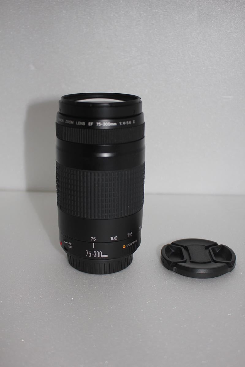 セール 登場から人気沸騰】 F4-5.6 75-300mm EF Canon ☆美品☆ Ⅱ