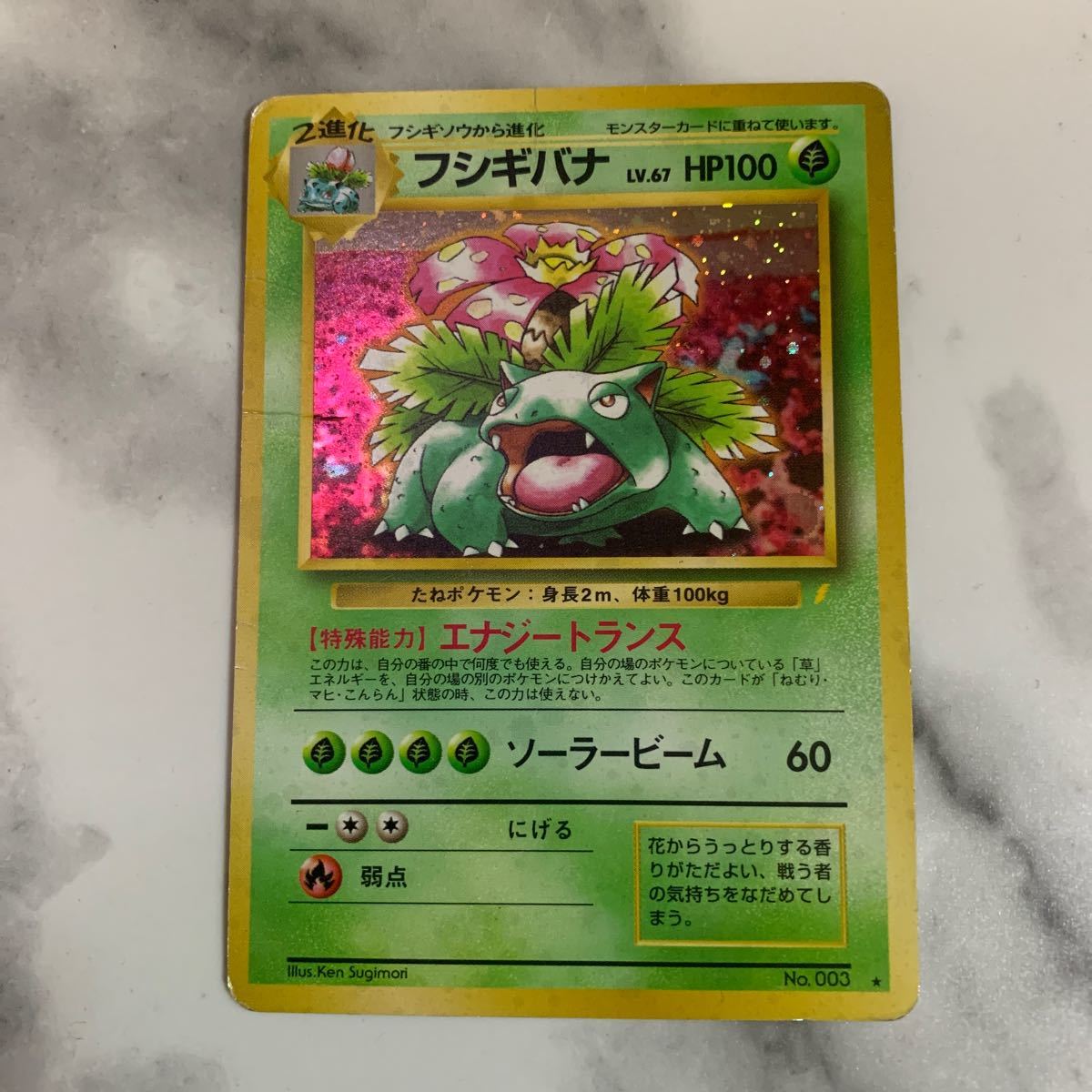 本日特価 旧裏 フシギバナ 値下げ中 ポケモンカード ポケモンカードゲーム Www Aszoran Hr 本日特価 旧裏 フシギバナ 値下げ中 ポケモンカード ポケモンカードゲーム Www Aszoran Hr