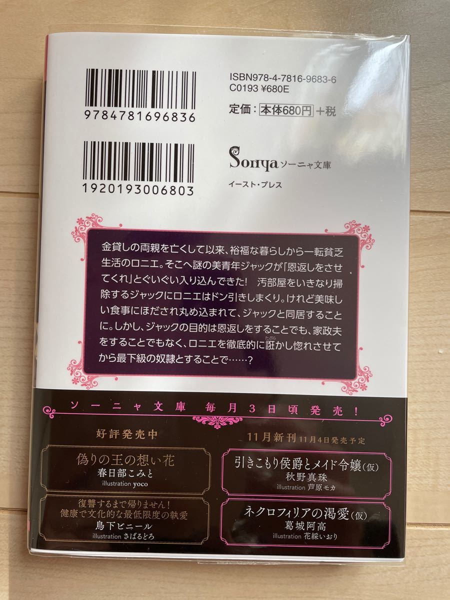 鳥下ビニール● 復讐するまで帰りません！健康で文化的な最低限度の執愛●