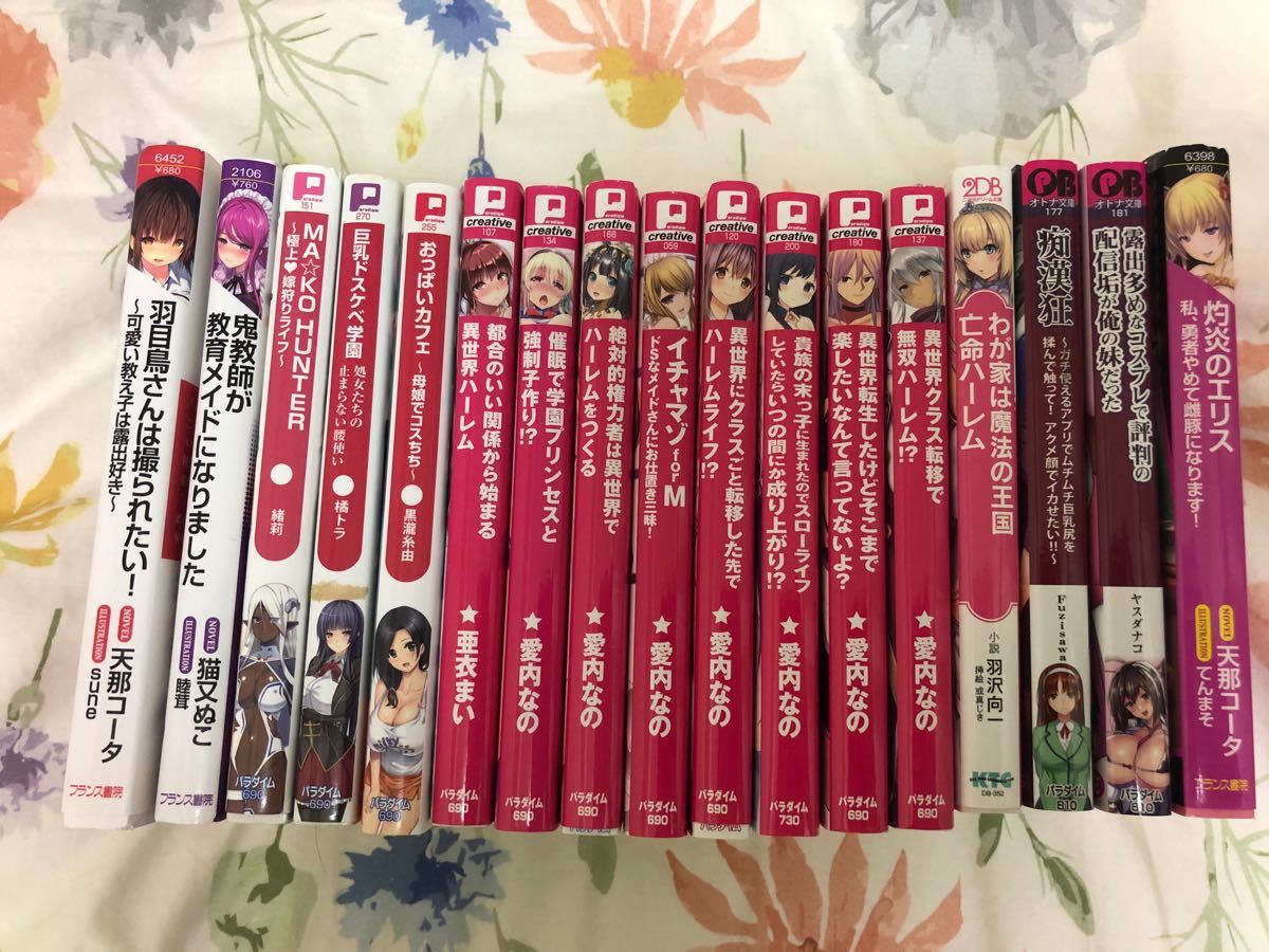 官能小説　ライトノベル　17冊セット まとめ売り　バラ売り可