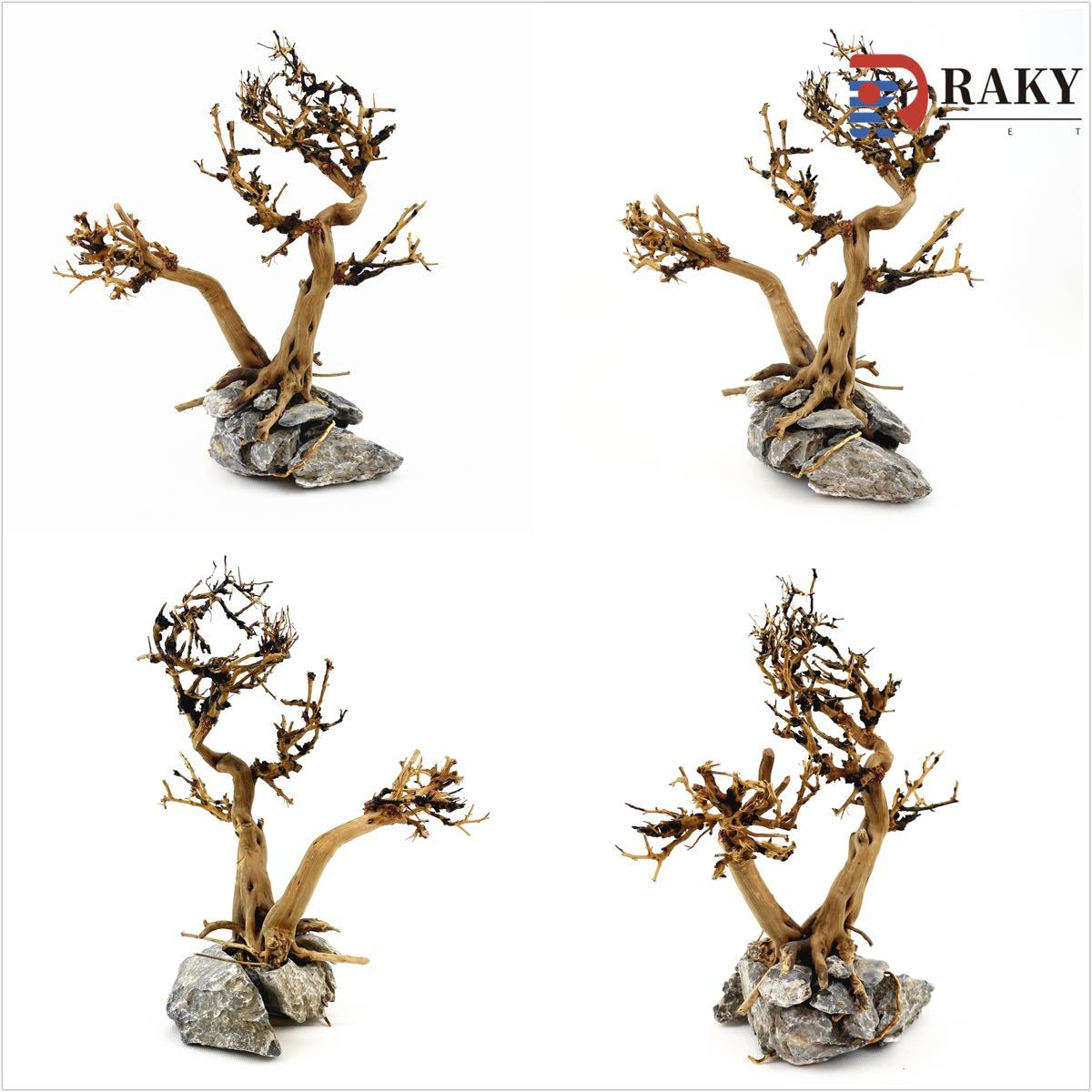 【お盆30%OFF・一点物】青龍石付きADAの天然ブランチウッド親子盆栽流木 RR-375 盆栽流木&青龍石レイアウトセット ブランチウッド