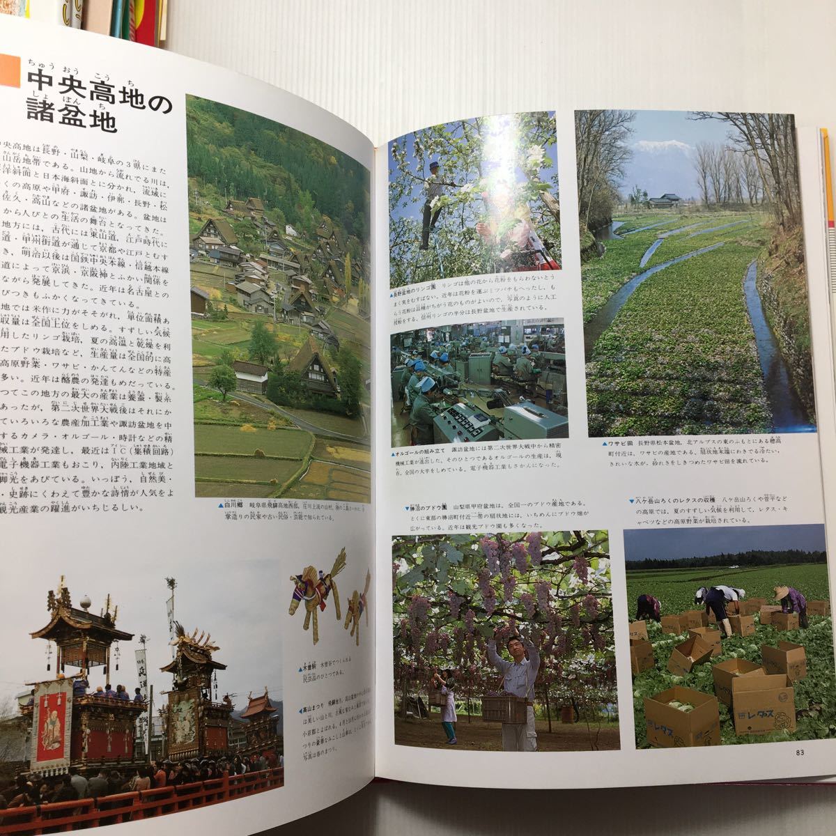 item_image_7