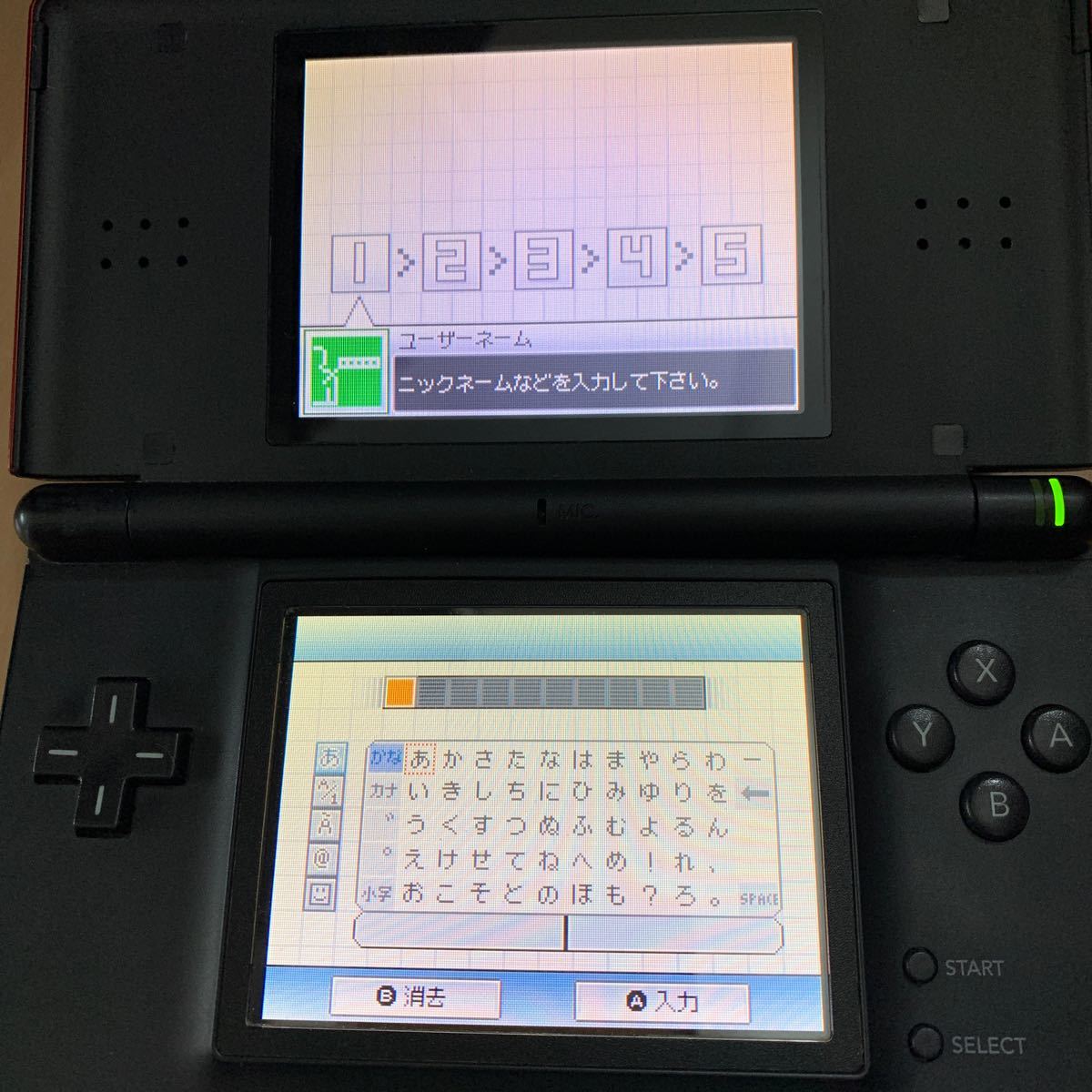 ニンテンドーDS Lite