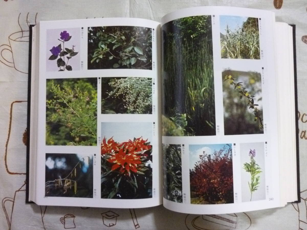 item_image_4