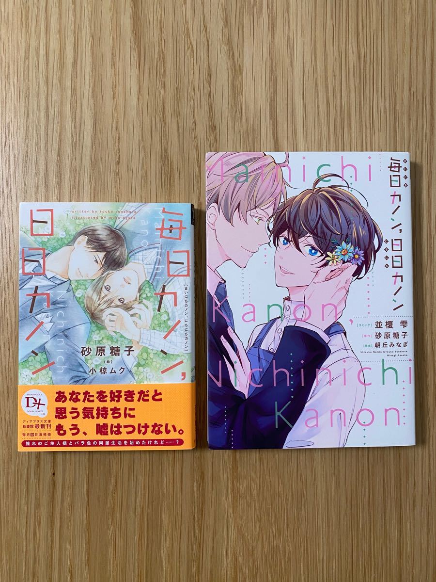 毎日カノン、日日カノン【商業ＢＬ小説＆コミック】２冊セット