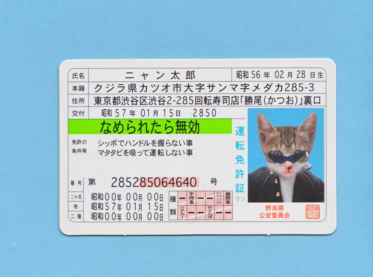 Yahoo!オークション - なめんなよ なめ猫 免許証 復刻版 ニャン太郎