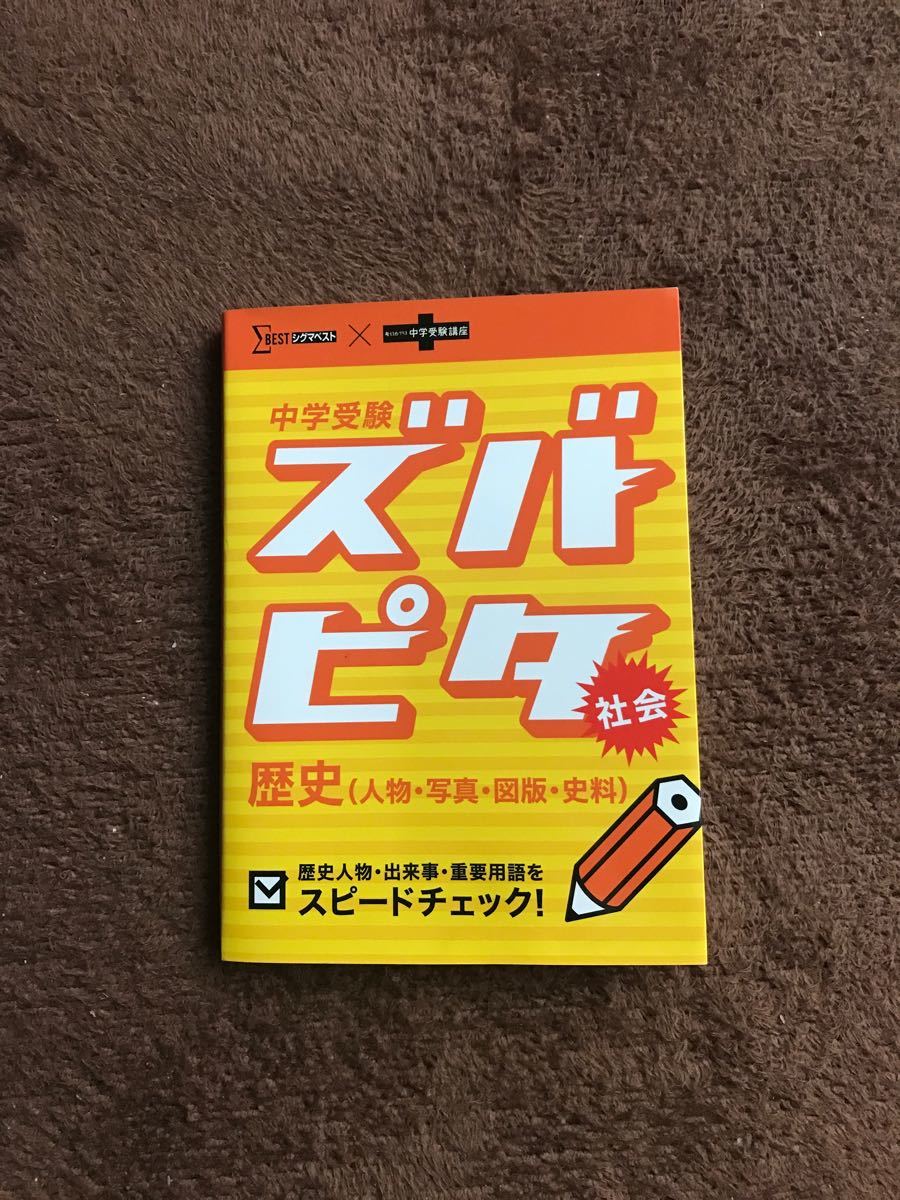 【美品】ベネッセ進研ゼミ中学受験講座社会