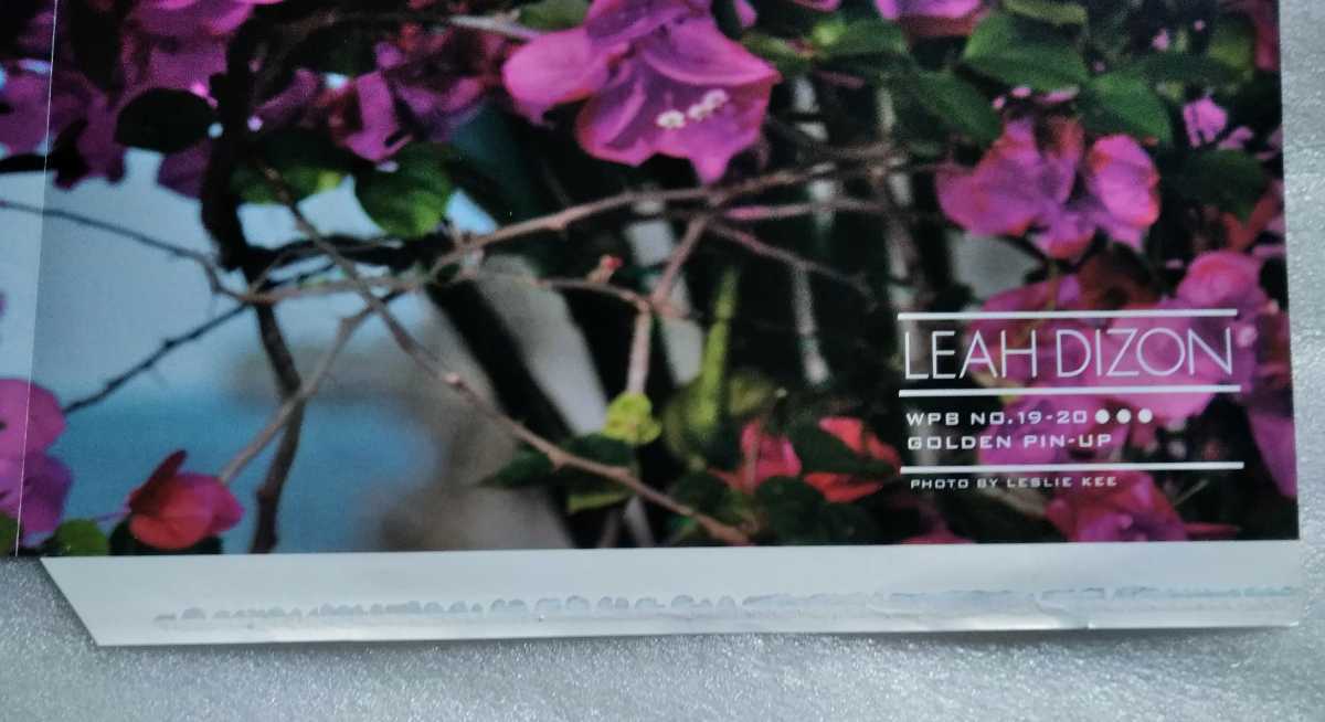 リアディゾン LEAH DIZON WPB No.19・20とじ込みピンナップ PHOTO BY LEBLIE KEE ※ピンナップのみ_画像7