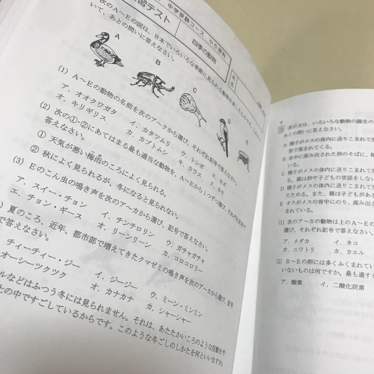 Paypayフリマ 馬渕教室 中学受験 小学５年 理科 復習テスト 42枚