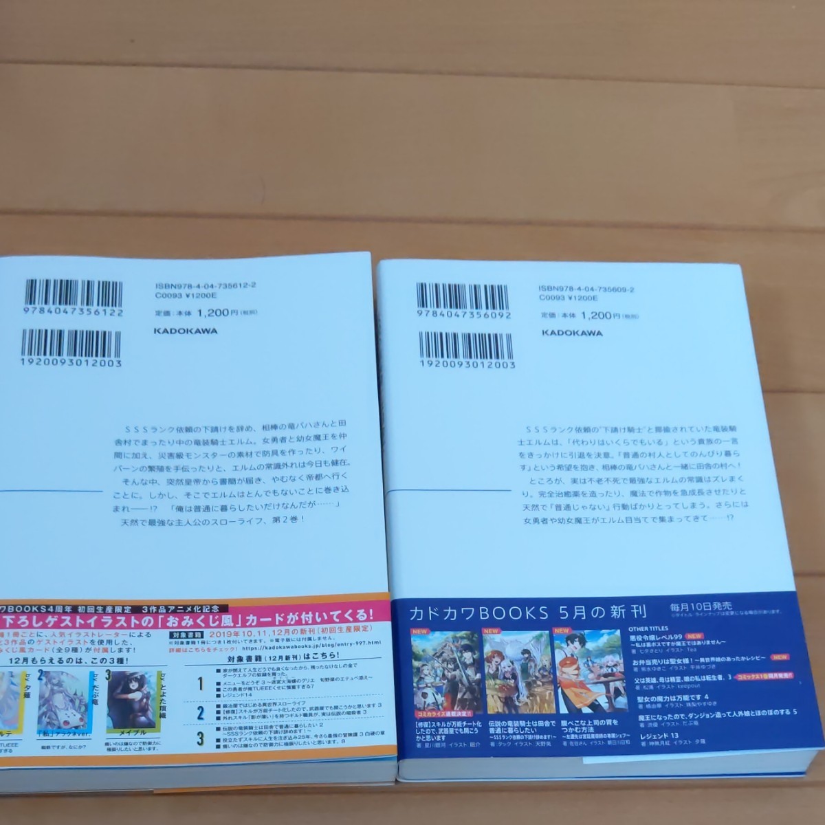 伝説の竜装騎士は田舎で普通に暮らしたい