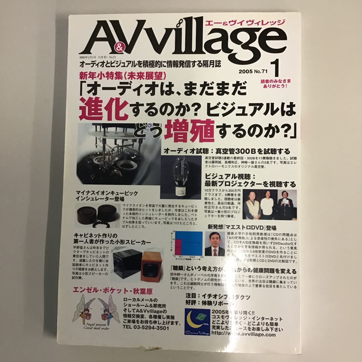 貴重本　当時物　2005 No.71 1月号　A&V village 「オーディオは、まだまだ進化するのか？ビジュアルはどう増殖するのか？」_画像1