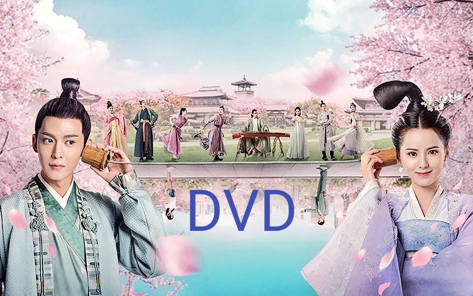 中国ドラマ　殿下攻略　DVD