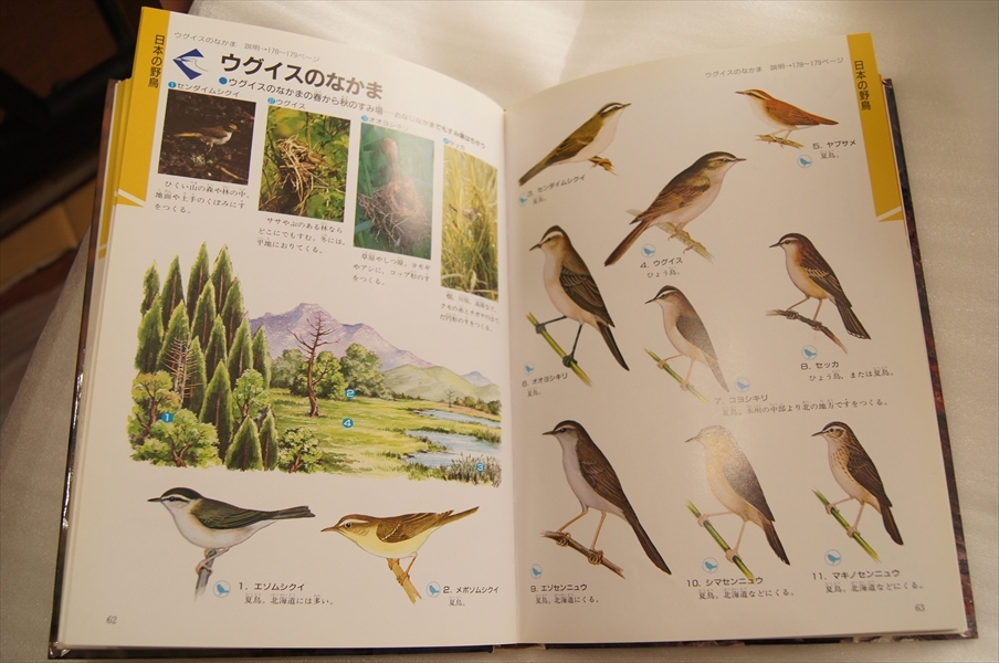 ■送料370円 学研の図鑑 鳥 とり_画像8