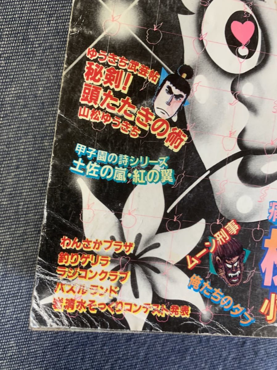 月刊少年マガジン1981年7月号 新連載桃色学園 釣りキチ三平/矢口高雄 甲子園の詩/貝塚ひろしそれいけ岩清水いのちの牙ムーン刑事なんと孫六_画像10