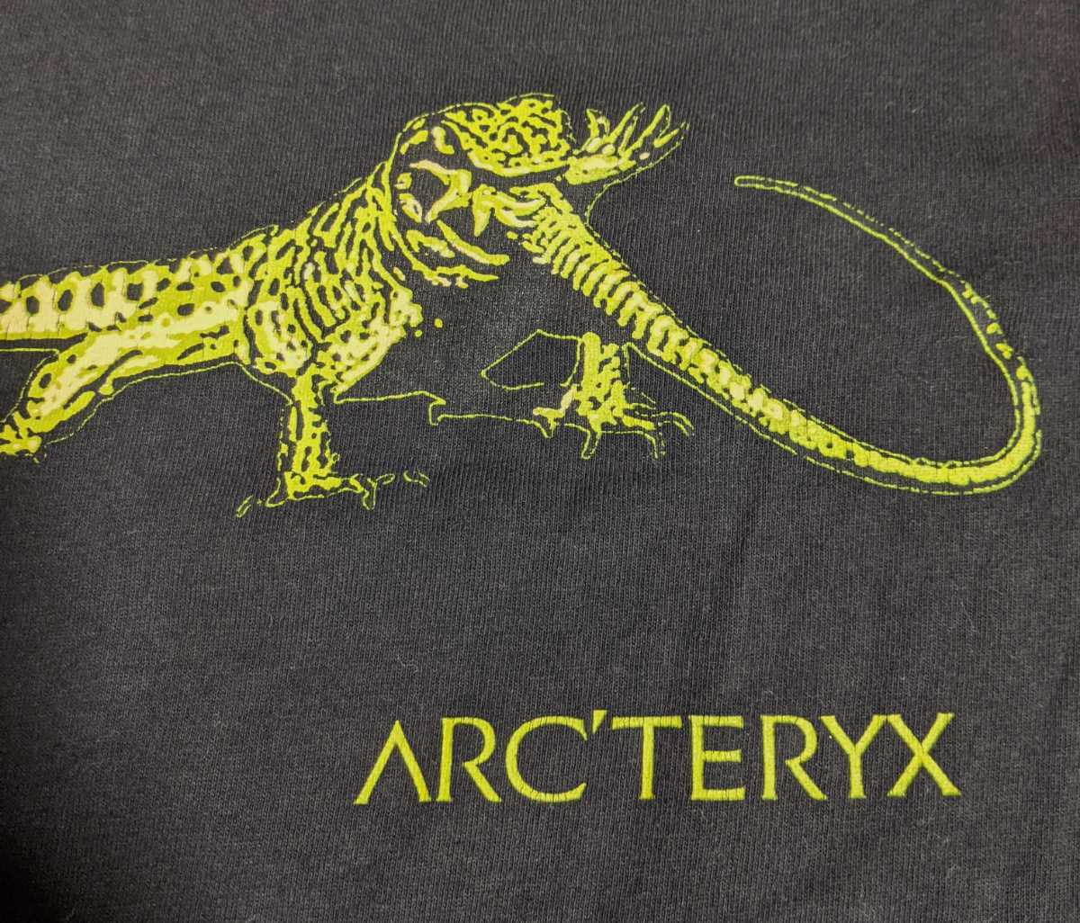 超希少品 CANADA製アークテリクス 2000年製 ヴィンテージ Tシャツ 始祖鳥 arc'teryx arcteryx atom ar  starbridge アウトドア ノベルティ