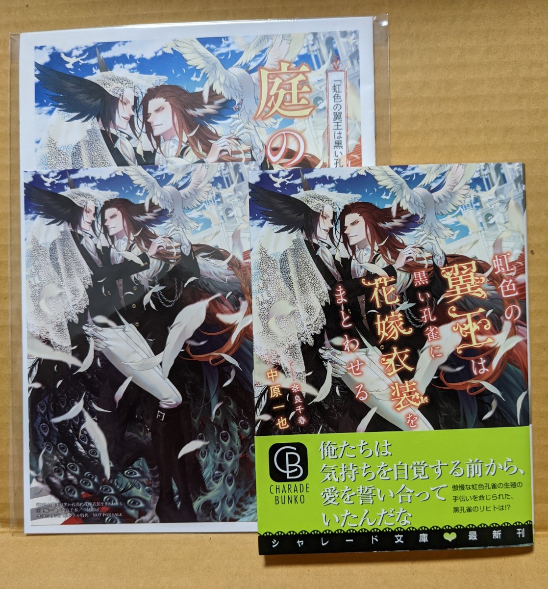 Paypayフリマ Bl小説 虹色の翼王は黒い孔雀に花嫁衣裳をまとわせる 中原一也 Paypayフリマ Bl小説 虹色の翼王は黒い孔雀に花嫁衣裳をまとわせる 中原一也