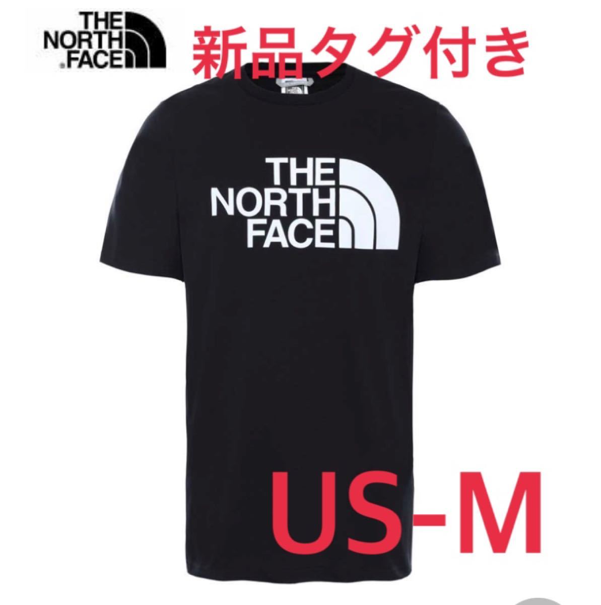 THE NORTH FACE ノースフェイスTシャツ BLACK