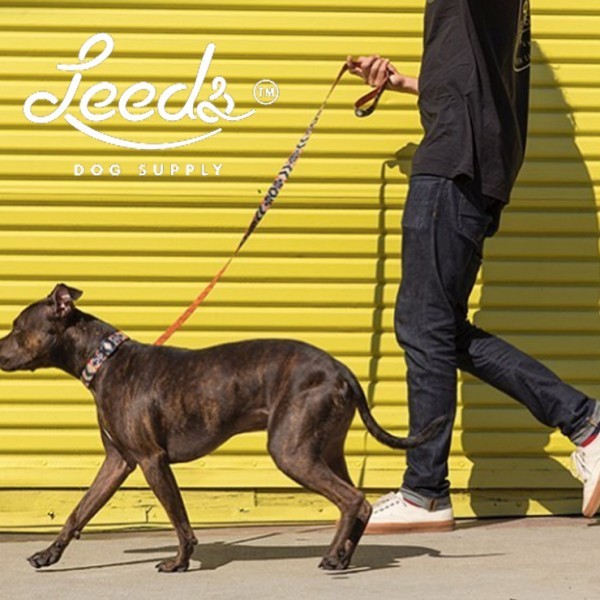 【送料無料】Leeds Dog Supply リーズドッグサプライ 　COLLAR 首輪 CALAFIA Mサイズ_画像4