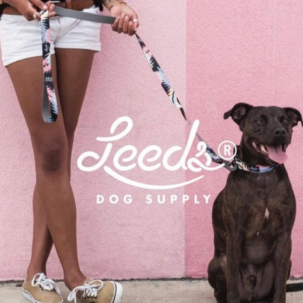 【送料無料】Leeds Dog Supply リーズドッグサプライ 　COLLAR 首輪 CALAFIA Mサイズ_画像7