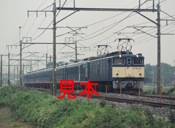 鉄道写真645ネガデータ、119000690004、EF64-36＋12系（江戸）、JR東北本線、東大宮～蓮田、1999.10.07、（3959×2899）_画像1