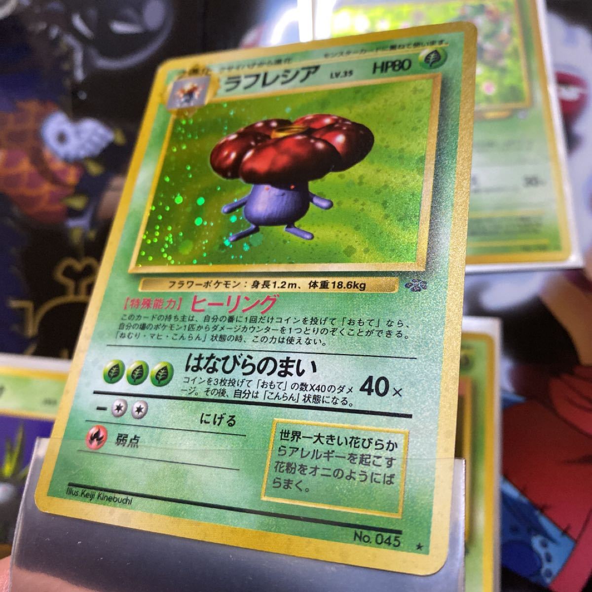 Paypayフリマ 極美品 ポケモンカード 旧裏面 ラフレシア キレイハナ 進化セット