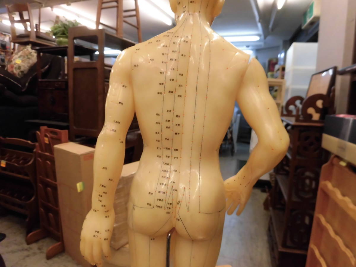  acupuncture therapia * human body model *... hole acupuncture moxibustion model * Chinese person . also peace country made / total height 52. rank. 