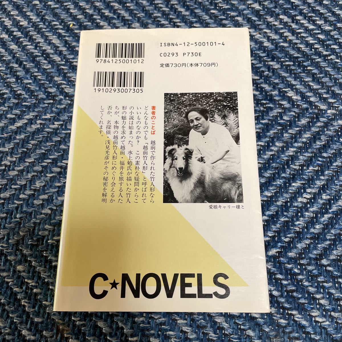 竹人形殺人事件／坊ちゃん殺人事件　探偵浅見光彦　内田康夫著　Ｃ・ＮＯＶＥＬＳ　新書２冊セット　送料無料_画像3