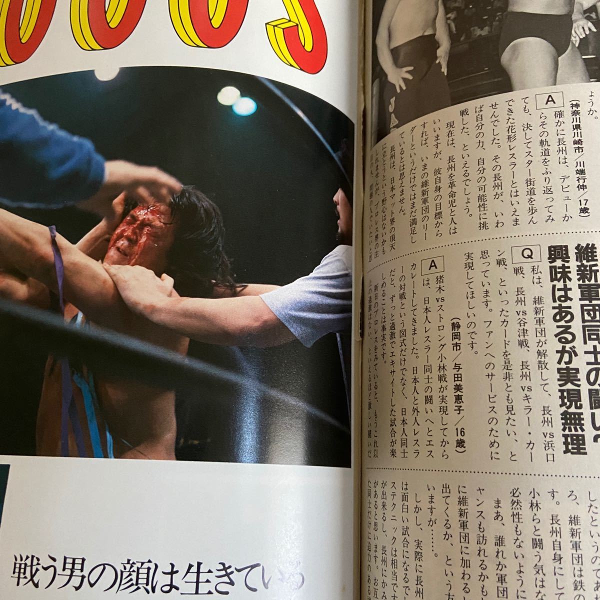 欲しいの 革命戦士 長州力13冊セット 格闘技/プロレス - psicogastro