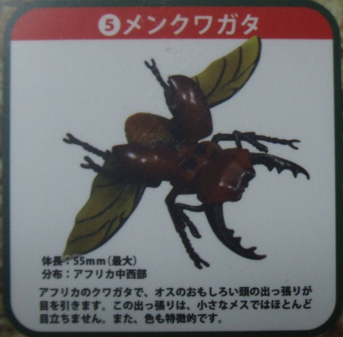 【BEAM】ビーム　リアル造形 甲虫対戦 -飛翔編- 5.メンクワガタ_画像1