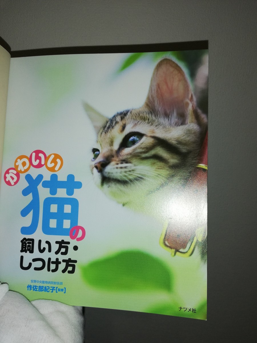Paypayフリマ かわいい猫の飼い方 しつけ方 Paypayフリマ かわいい猫の飼い方 しつけ方