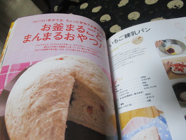 Ａ　飯田順子著「炊飯器で作るはじめてのパン～オーブンいらず　型いらずで失敗なし！」～Ｇａｋｋｅｎ　Ｍｏｏｋ