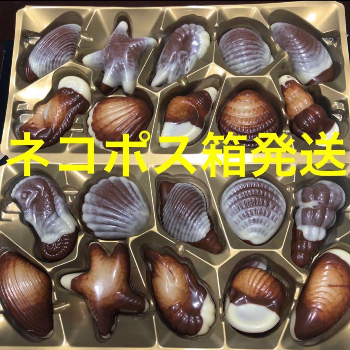Paypayフリマ ベルギー産 チョコレートシーシェル 冬期限定 バレンタイン 個入り 準チョコレート ヘーゼルナッツ ベルギー直輸入 ネコポス箱 Paypayフリマ ベルギー産 チョコレートシーシェル 冬期限定 バレンタイン 個入り 準チョコレート ヘーゼルナッツ ベルギー直輸入 ネコポス箱
