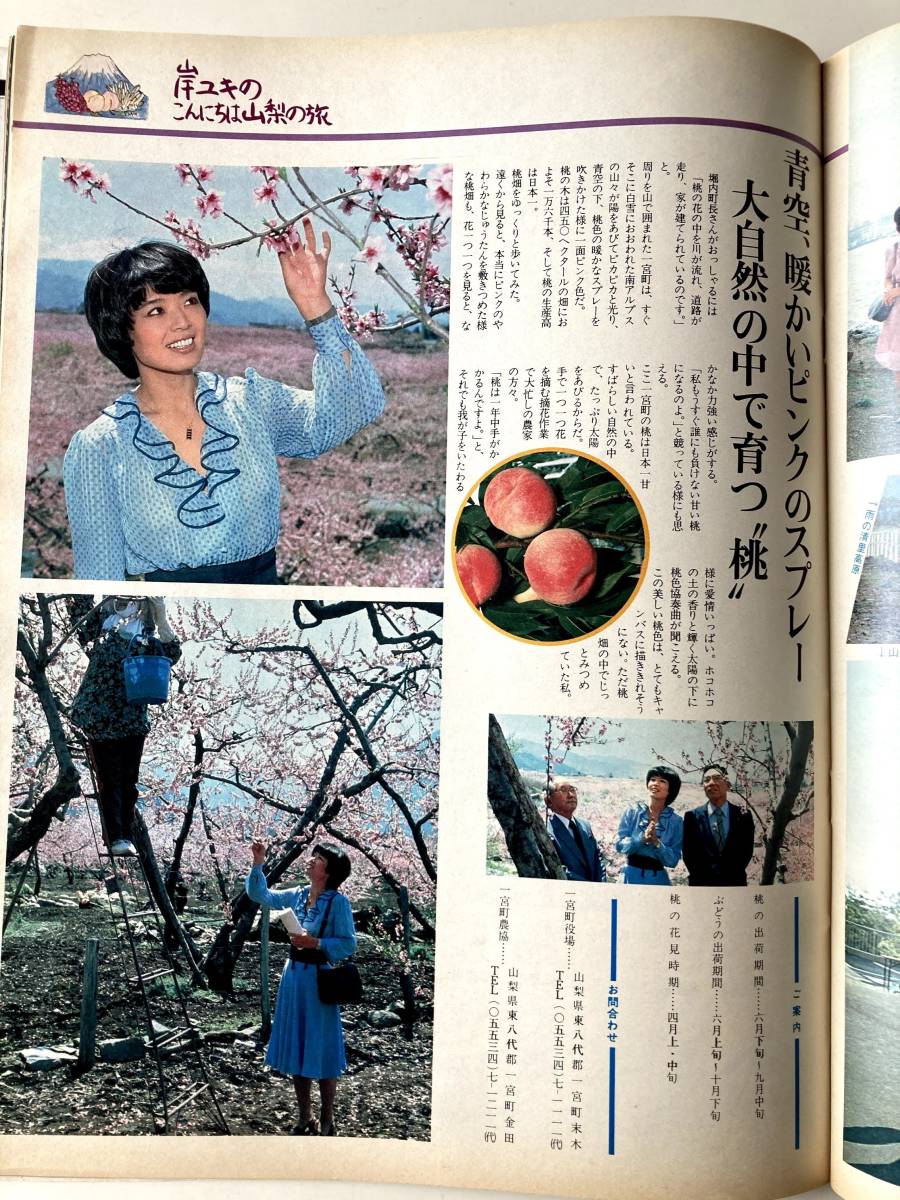 正規品質保証】 グラフNHK 🐹由美558899🐹 1981年7月 - www