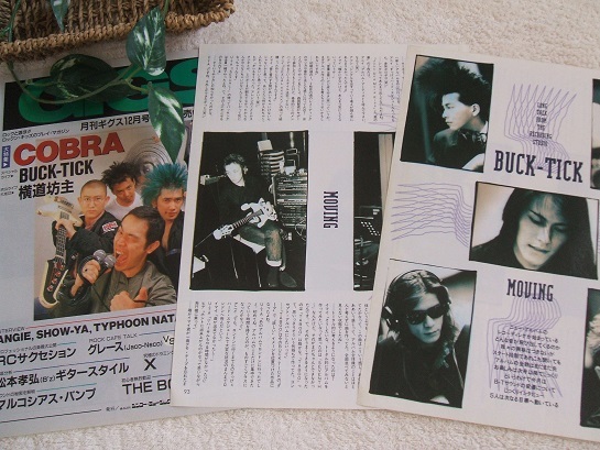 Yahoo!オークション - レア 33年前 レトロ BUCK-TICK/バクチク/櫻井敦